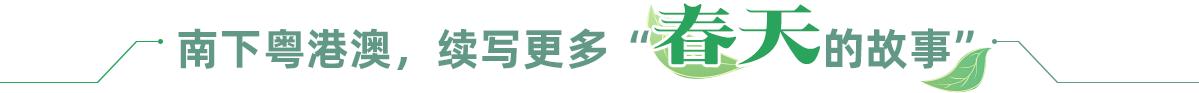 南下粵港澳，續(xù)寫更多“春天的故事”